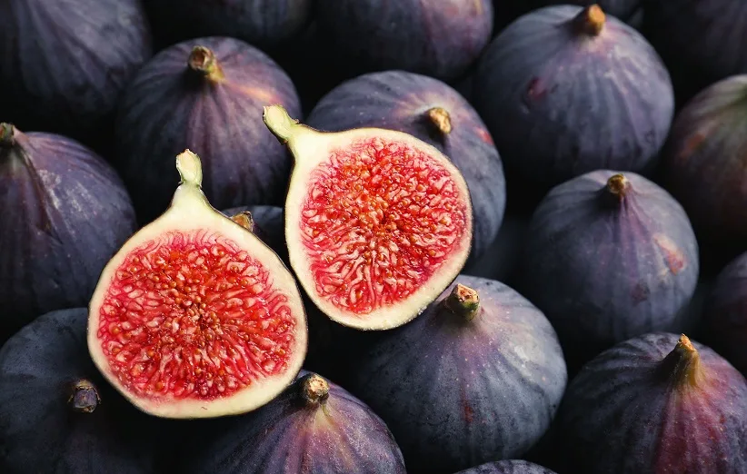 فیژارف عارف دارو شربت